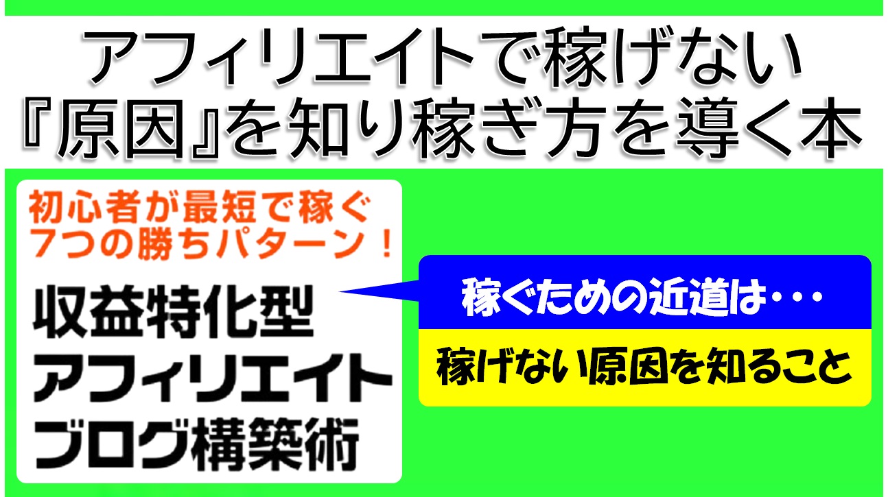 ブログで稼げない原因と稼ぐ方法の両方を丁寧に教えてくれるおすすめサイトアフィリエイト本